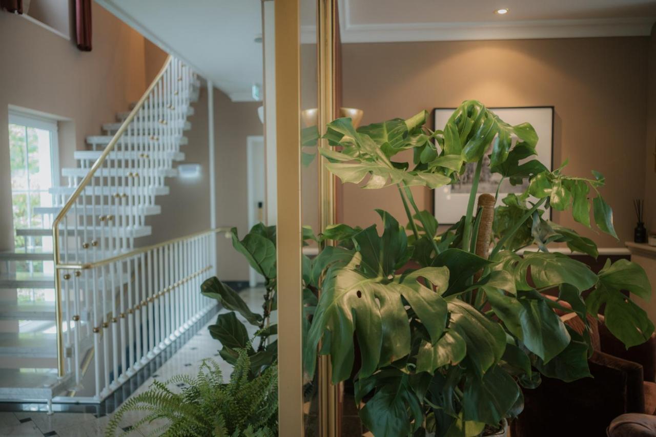 Nook X Seepalais Boutique Hotel Bad Saarow Exterior photo